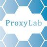 Proxy-Lab